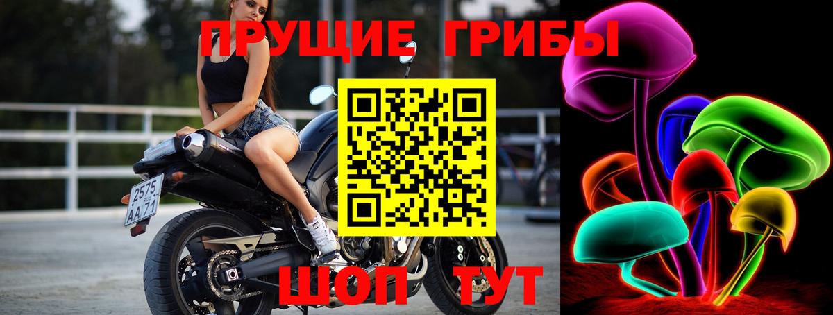 Псилоцибиновые грибы Psilocybine cubensis  Вход с VPN  Людиново 